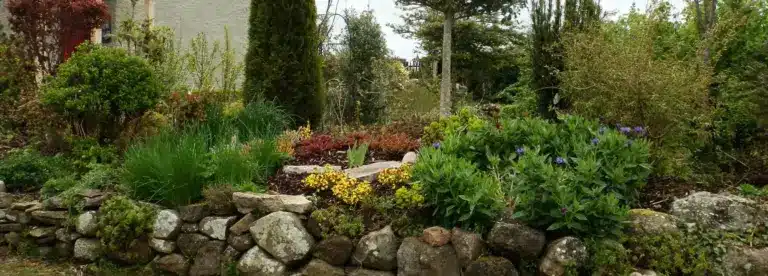 A landscaped garden with a stone wall, various green plants, shrubs, and small flowering plants in bloom. Tall trees and part of a building are visible in the background.