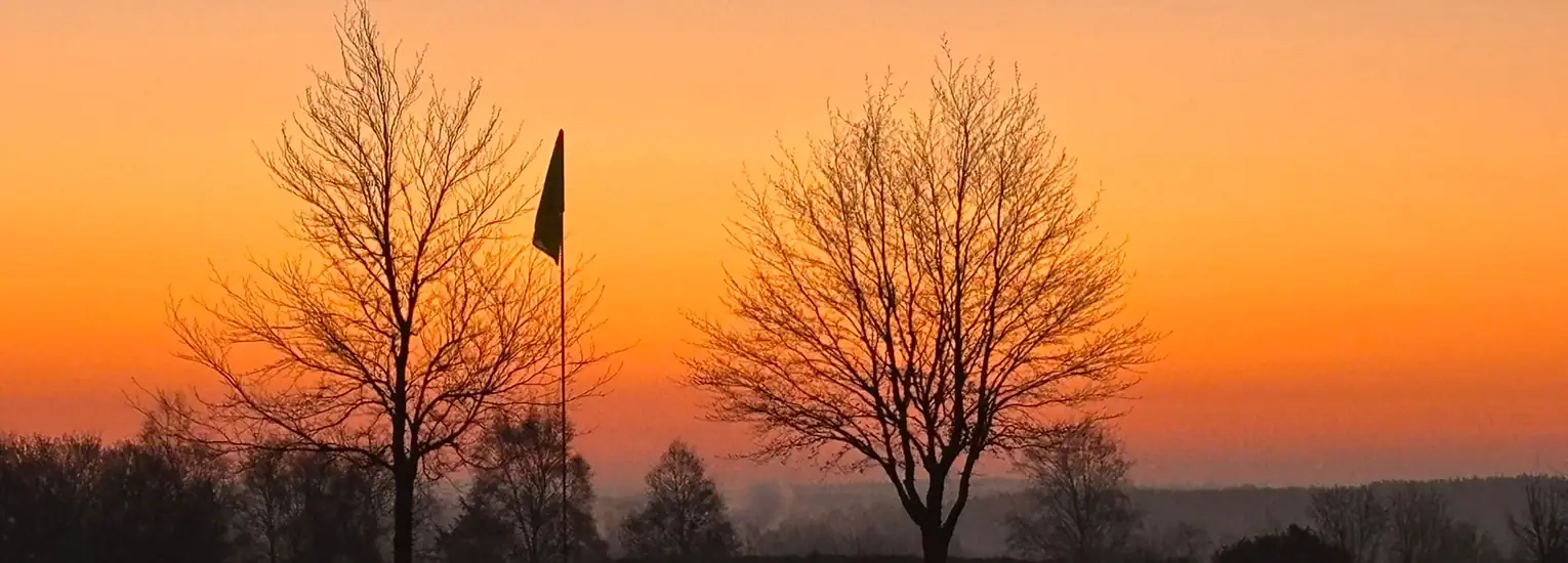 Two leafless trees stand side by side at sunset, silhouetted against an orange sky, with a flag on a pole between them and a distant landscape in the background.