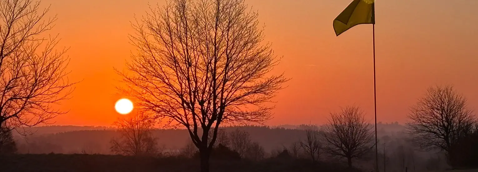A bright orange sunset with the sun low on the horizon, silhouetted trees without leaves, and a yellow flag on a tall pole waving in the breeze.