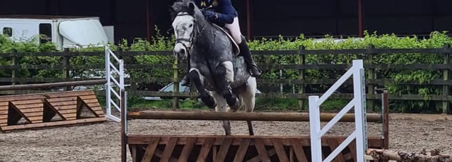 A person wearing a blue jacket and helmet rides a grey horse, jumping over a wooden obstacle in an outdoor equestrian arena with fences and greenery in the background.