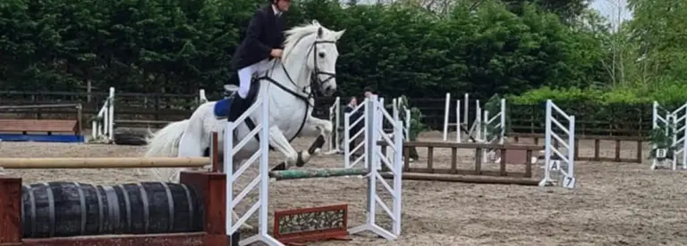 A person in formal riding attire is jumping a white horse over an obstacle in an outdoor equestrian arena with fences and greenery in the background.
