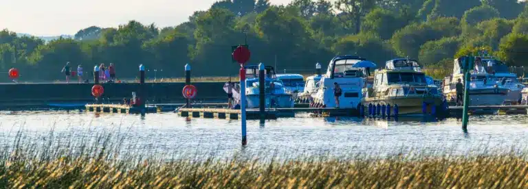 Boats are moored at a marina with people walking on the pier in the background. Tall grass lines the water’s edge and trees fill the background under a clear sky.