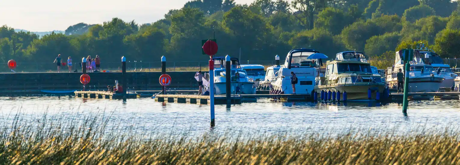 Boats are moored at a marina with people walking on the pier in the background. Tall grass lines the water’s edge and trees fill the background under a clear sky.
