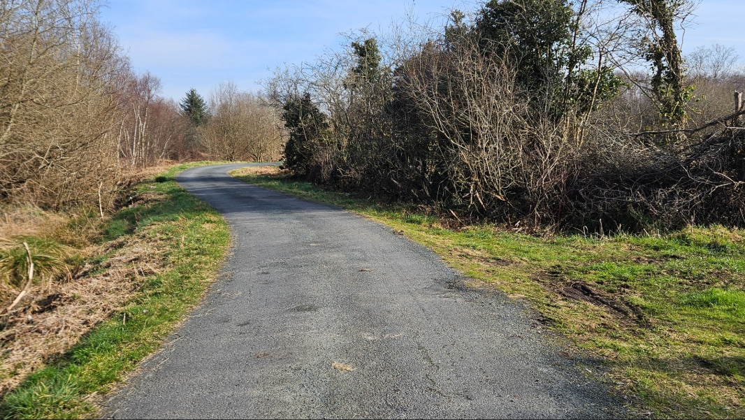 A narrow, tarmacked country road curves through a rural landscape with grass on both sides and leafless trees and bushes lining the edges under a blue sky.