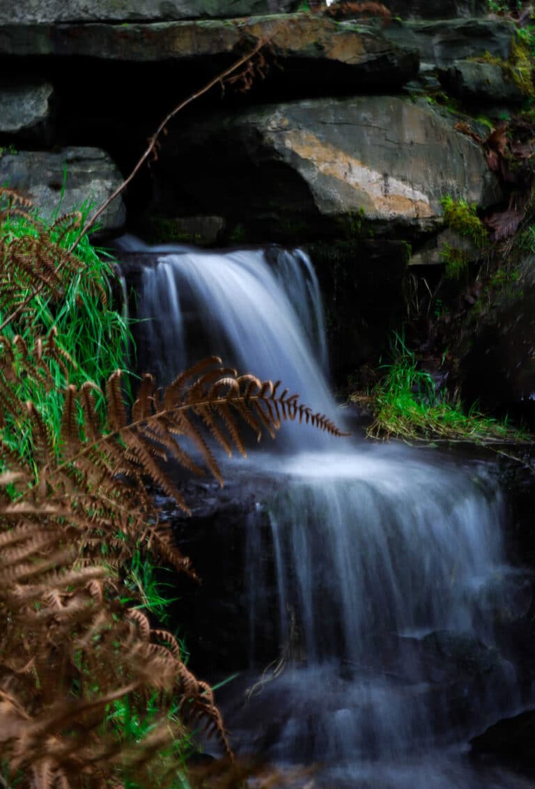 A small waterfall flows over dark rocks, surrounded by green grass and brown bracken in a lush, natural setting. The water appears silky due to a long exposure photograph.
