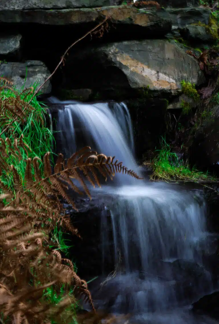 A small waterfall flows over dark rocks, surrounded by green grass and brown bracken in a lush, natural setting. The water appears silky due to a long exposure photograph.