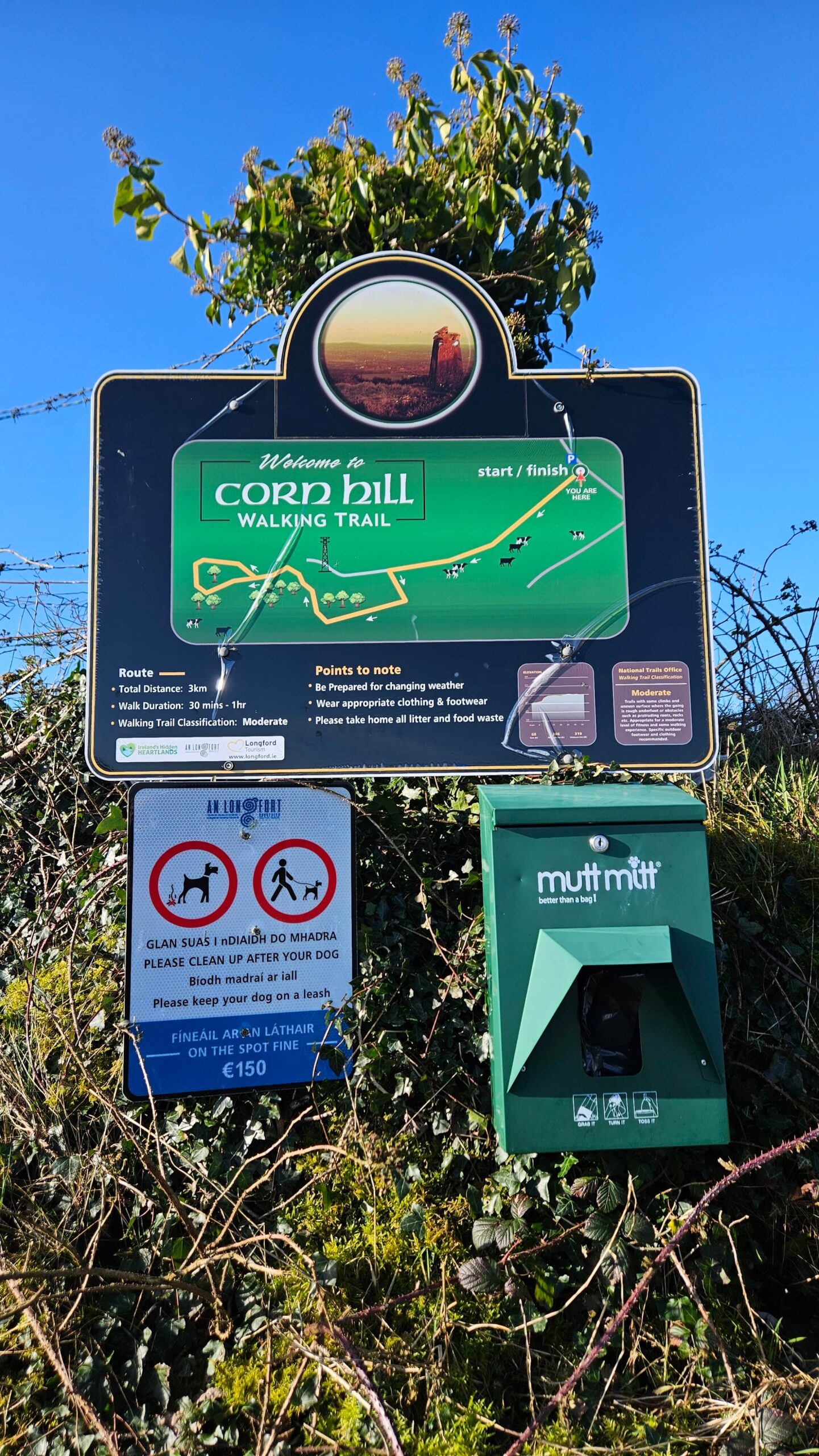 A sign for the Corn Hill Walking Trail displays a map and route information. Below it are a "No Dogs Allowed" sign in English and Irish, and a green dispenser labelled "Mutt Mitt" for dog waste bags. Bushes and blue sky are in the background.