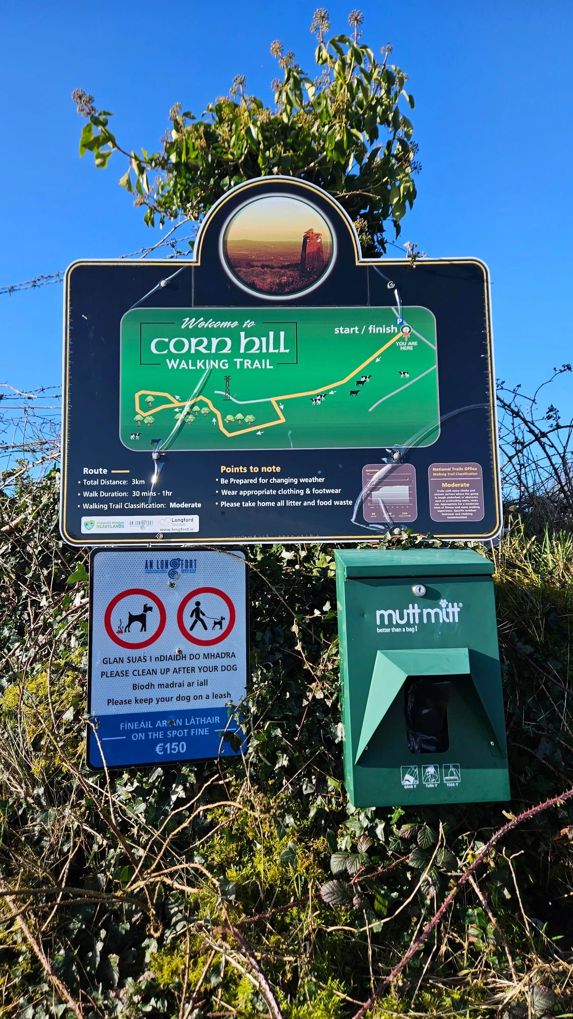 A sign for the Corn Hill Walking Trail displays a map and route information. Below it are a "No Dogs Allowed" sign in English and Irish, and a green dispenser labelled "Mutt Mitt" for dog waste bags. Bushes and blue sky are in the background.