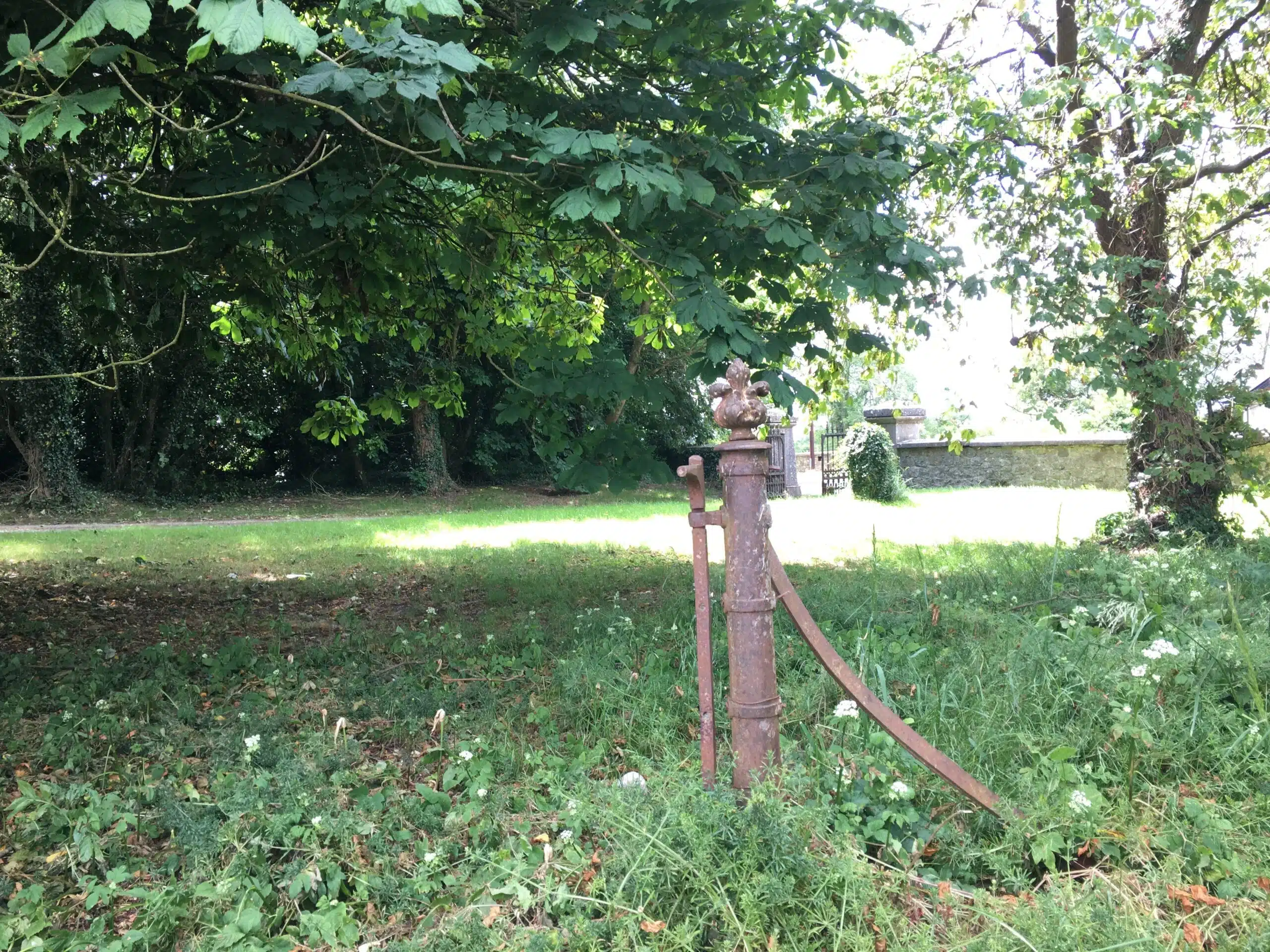 An old, rusted water pump stands in tall grass under large leafy trees, with sunlight filtering through the branches and a stone wall visible in the background.