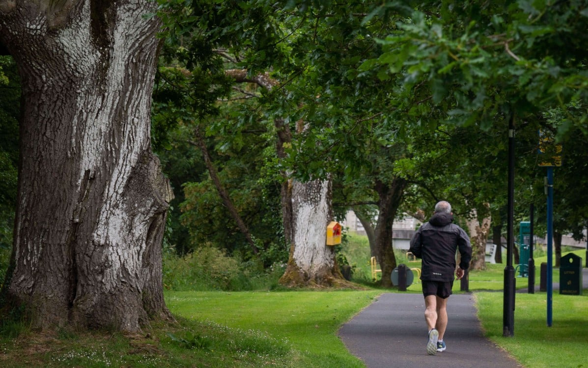 A person in sportswear jogs along a tree-lined path in a park, with large trees and green grass on either side of the walkway on a cloudy day.