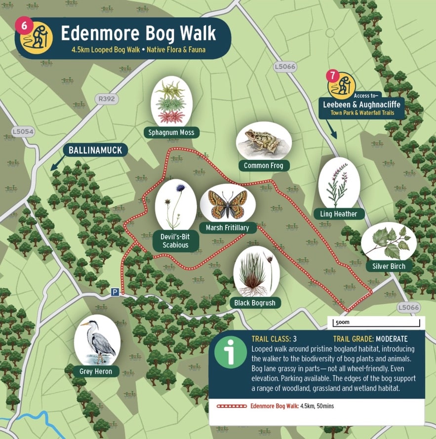 A colourful illustrated map of the Edenmore Bog Walk, showing trails, highlighted plants and animals, landmarks, and information about the walk’s length, difficulty, and natural features. Icons and labels detail key species and routes.