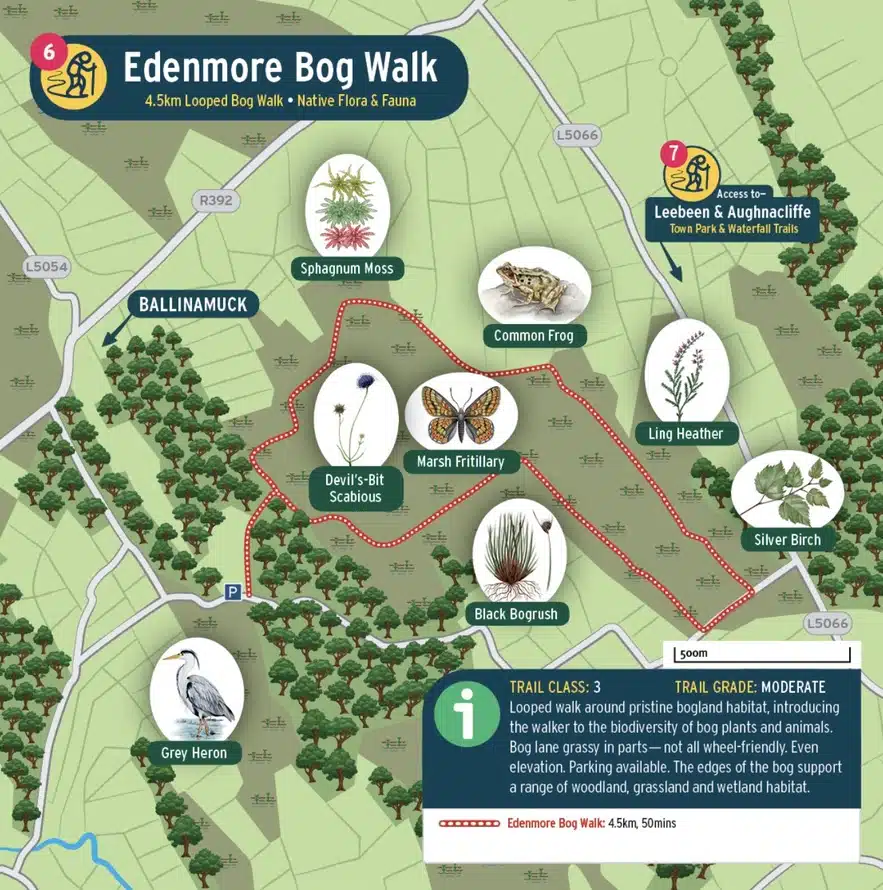 A colourful illustrated map of the Edenmore Bog Walk, showing trails, highlighted plants and animals, landmarks, and information about the walk’s length, difficulty, and natural features. Icons and labels detail key species and routes.
