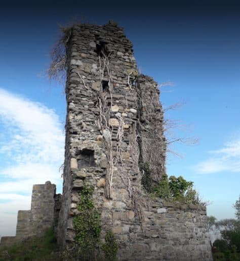 A tall, crumbling stone tower with vines and plants growing on it stands against a blue sky with scattered clouds. Some greenery appears at the base of the ruins.