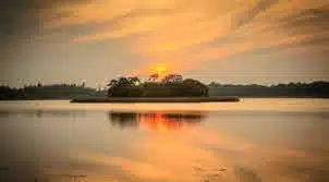 A small island with trees sits in a calm lake, reflecting a golden sunset with orange clouds in the sky.