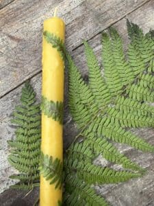A yellow candle decorated with fern leaves rests on a rustic wooden surface, with two green fern fronds placed beside it.